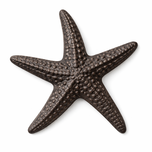 Bronze starfish on a white background
